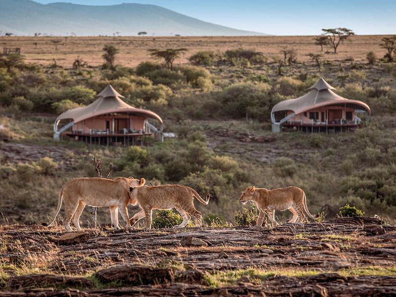 C69695CF0C676A164CFDE822735BE52D