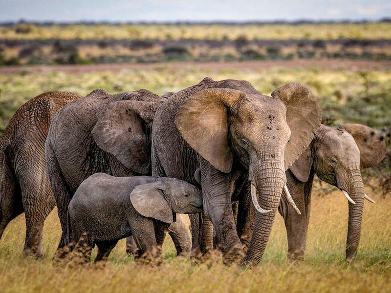 CED7DF69BDA04010DB1564827EF5BE6C