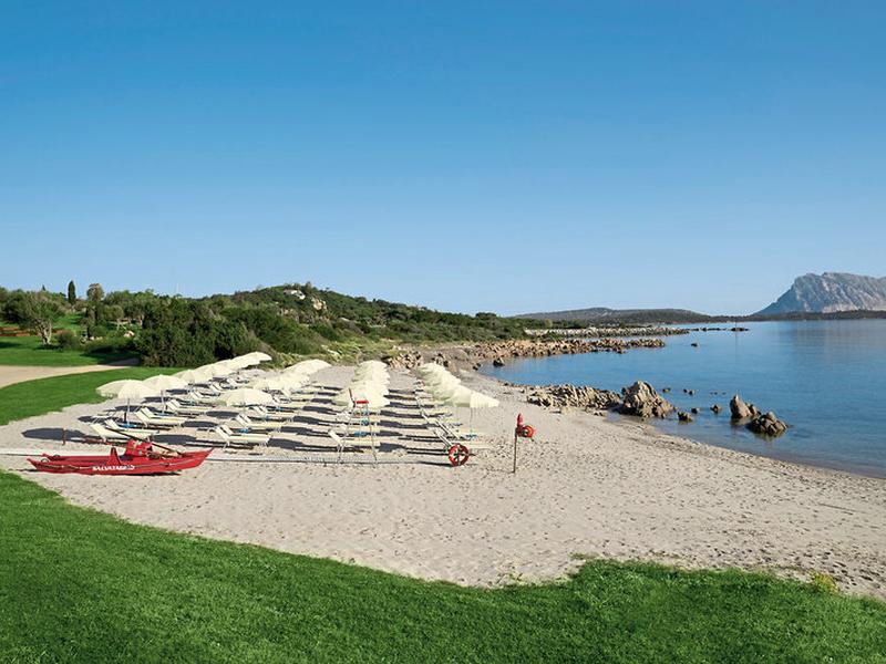 97D03796030C9698864E70A7468579E3