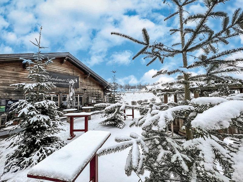 76CED491B3718D56A28860A68BD475F4