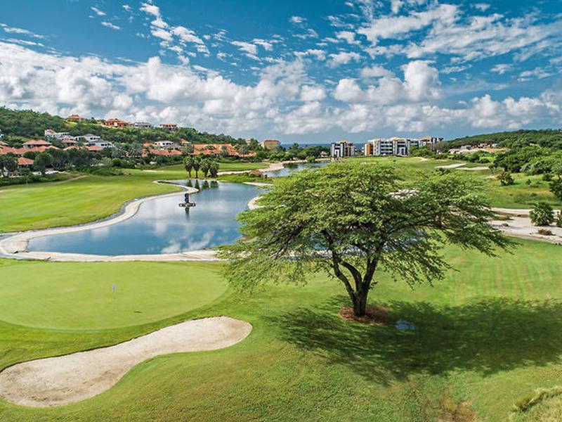 9A0D7973F2F4C84A9E916CF3083AA7FC