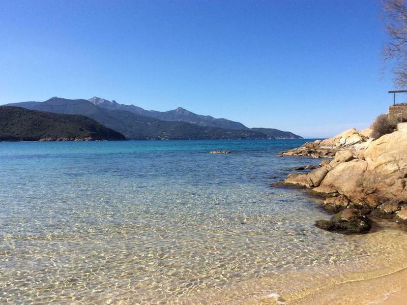 FFC7131ACA2B2F0DA94739A1F0B041C1