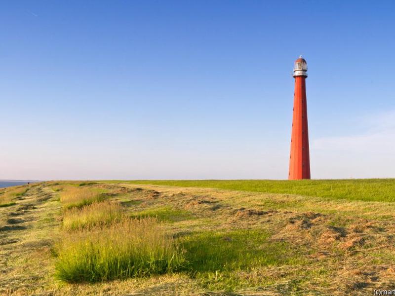 1FEE942FF72D0CA4D2A0900D2530E871