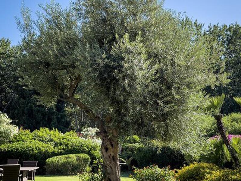 12DD6FA9D93E4F4EE52D957AC88B2703