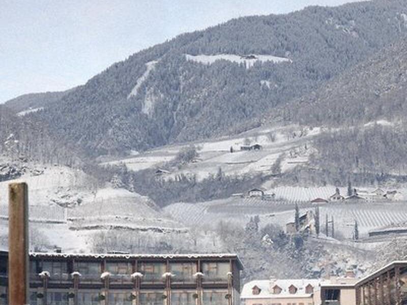 C343DDDDA1FF7EE4D8169753C66259AB