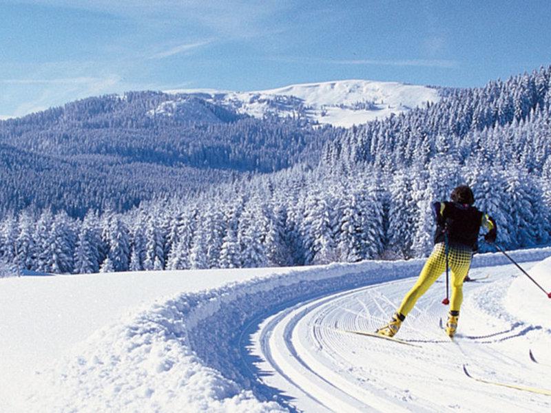 9D07EC087A48F6F23884F81C80DBCEEC