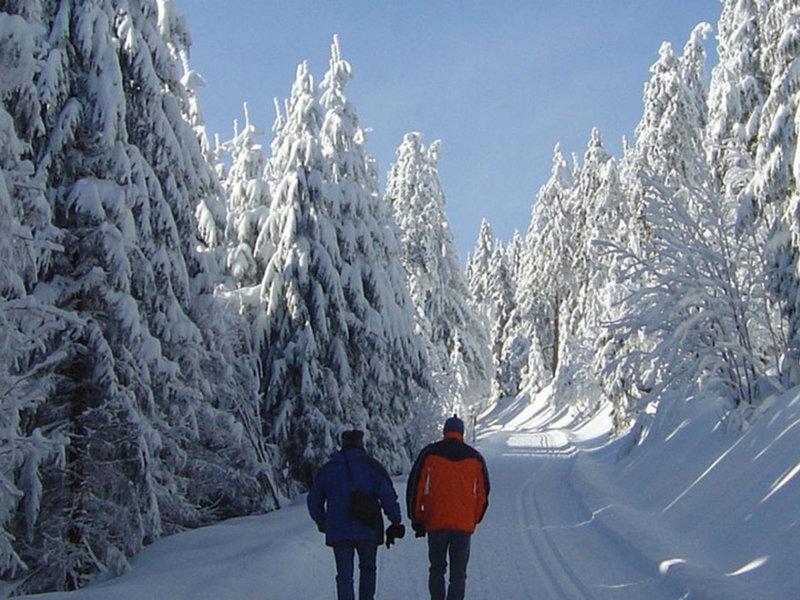 8DF5852DA1FD903621CC75943E6A0E23