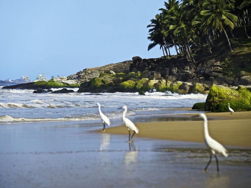 1DD1927915FB6AF524D77AE11ECC2E3E