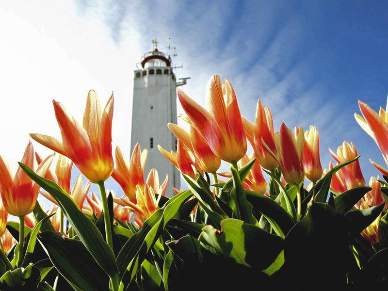 9D35031656BAE27F03D2875334405C7E