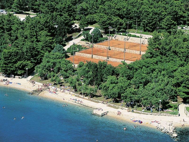 83C69D770E5CA066C345CF255D8C1AD2