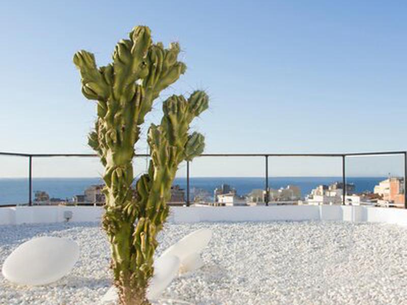 87D5C970533E7484548DA15C019FF773