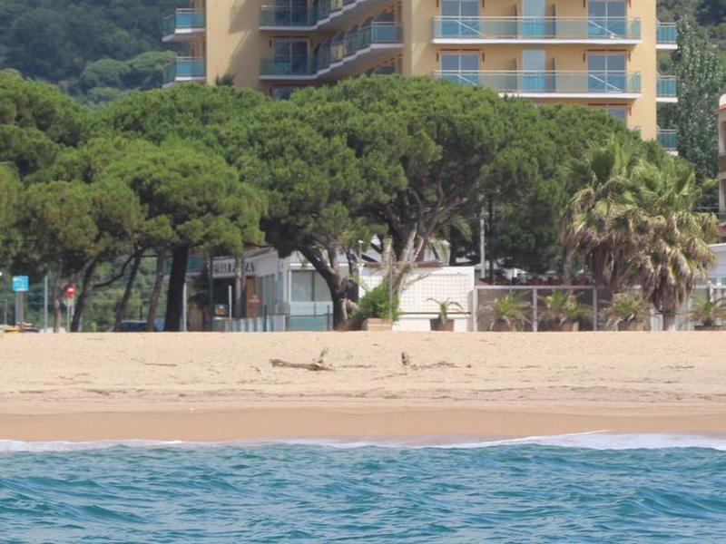 ED2325E40AD48F3129800CA6DCD94D45