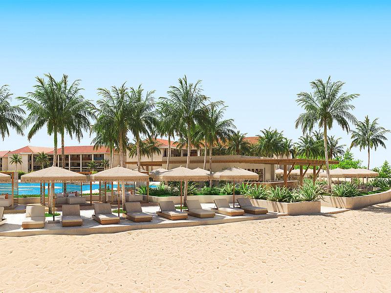 7694C96FE3E8CE63794FE79D62B360C4