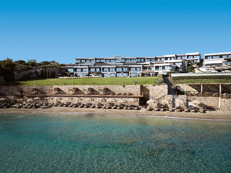 991917CFB196DD6EF3BB111EFB635558