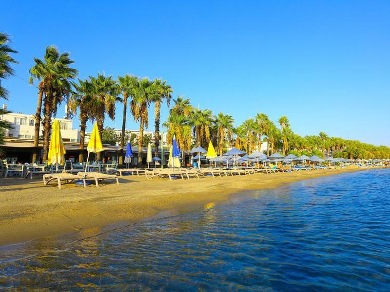 3DA9FDC372FD5A2F09D51A71E405F20F