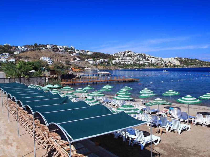 02A3B389F741515AAC2D4B8563054682