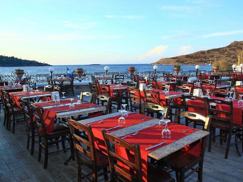 53023D8E4DFE69EEDE4B8597597CF418