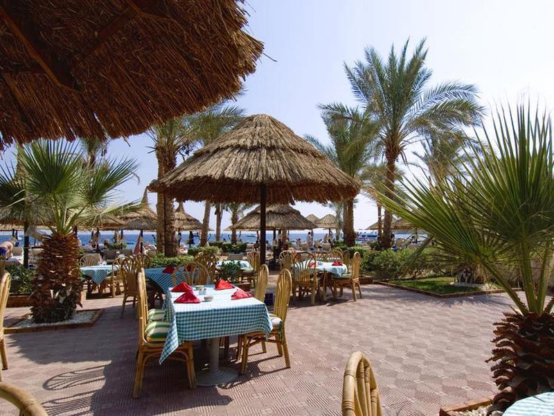 C121138595DD3B6E312CBA631B8EB2BA