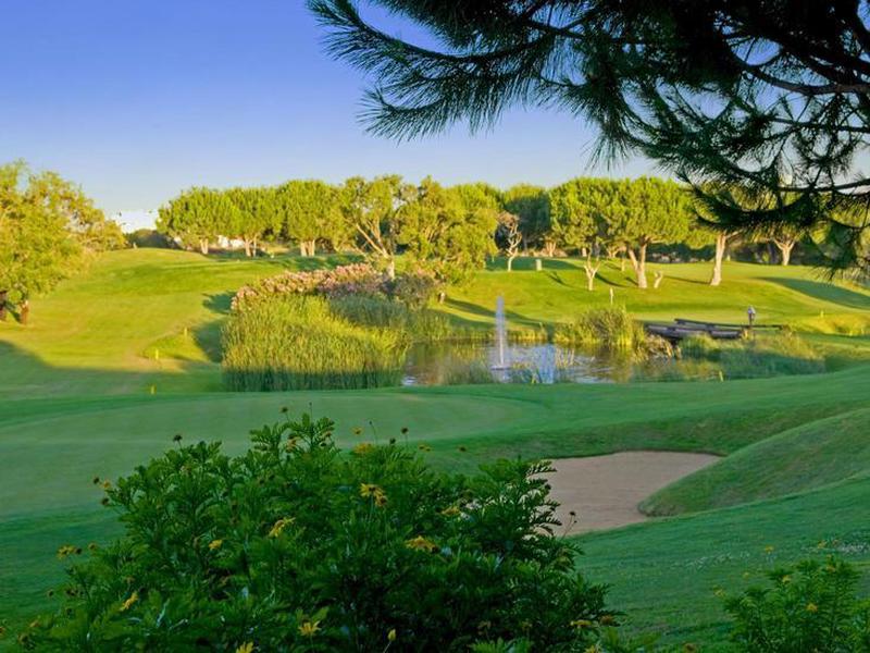 1CFA499FE9C711EFF80DFFF36119ADE8