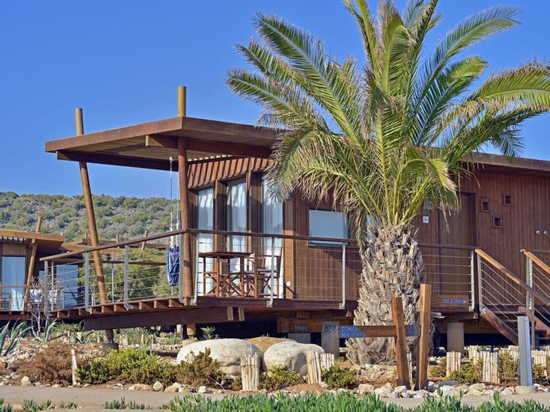 0DF0ED438F89A1655CF7ACD82F3F395E