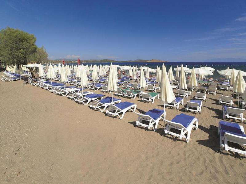 EFBE333C022A76DCCADFEC7EA29DED2E