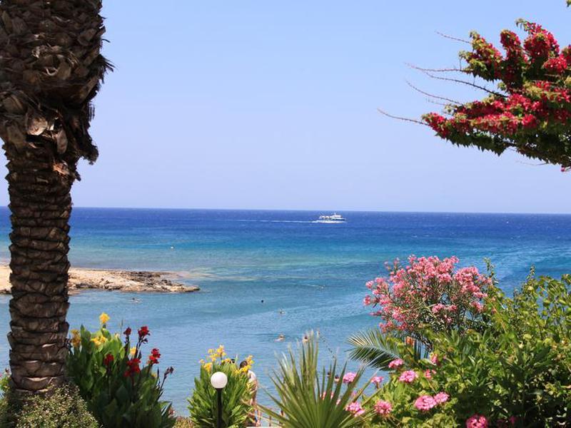 08E267BEBDEAC5B0F45E2816E3FC8CEE