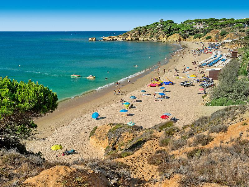 E41176BAFE2D5C7E6F8B45DAC0681CE6