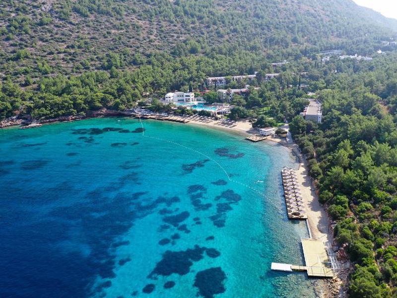 CFF9D0011E483654ECCAC5B9361AD98B