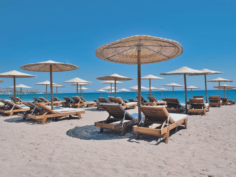 8B3C03FAF2D30F26C5579FA9D63EC78E