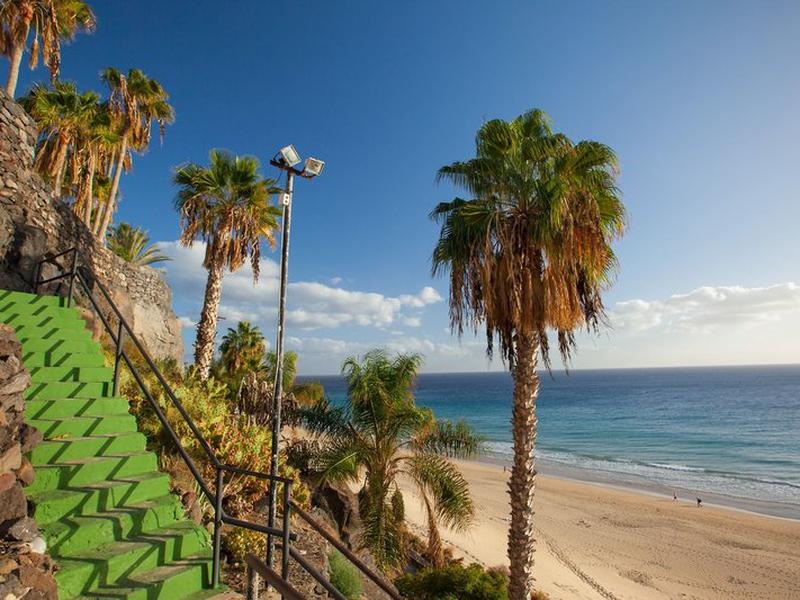 BF1C3F3C8A2637764EA7D8E9D3C027A9