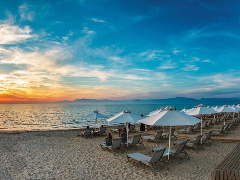 3E97C5CA5BE2FEAC7051AE47A221A624