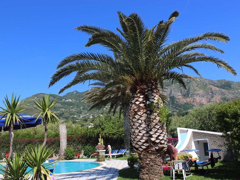 C315165BFC9CED1CBF3B3435309AE000