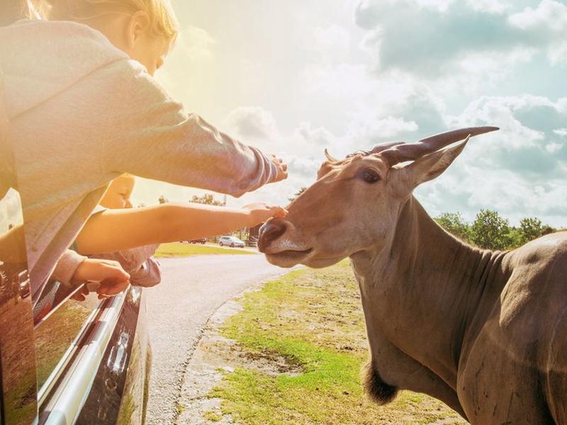 8BECD09F23DC0AB93BF7E79880D7BED4