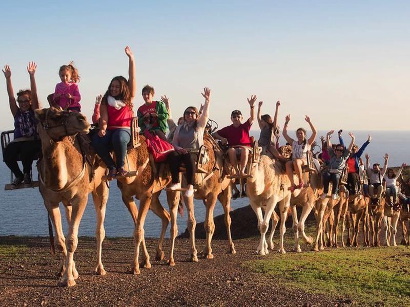 468CF91A83EE505104A8C27FE50DF547