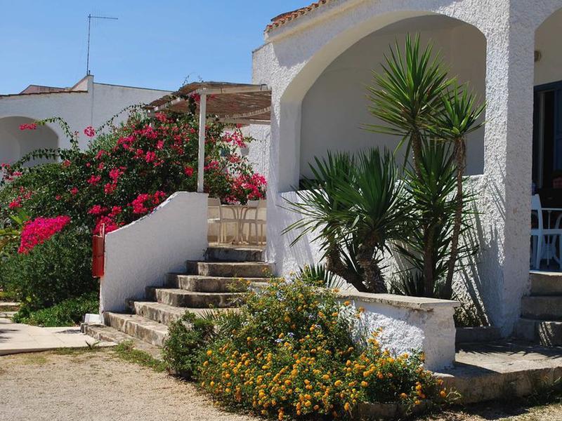 0AF6BC8FF501E05FDD01037079261188