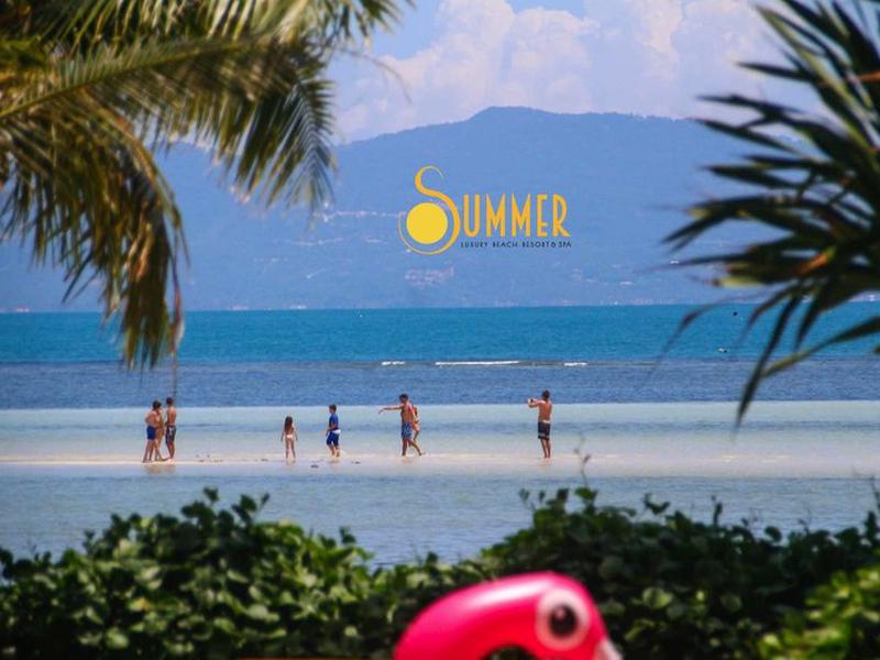 F7A3AAE7DB0C42CD93CB02A160E7517D