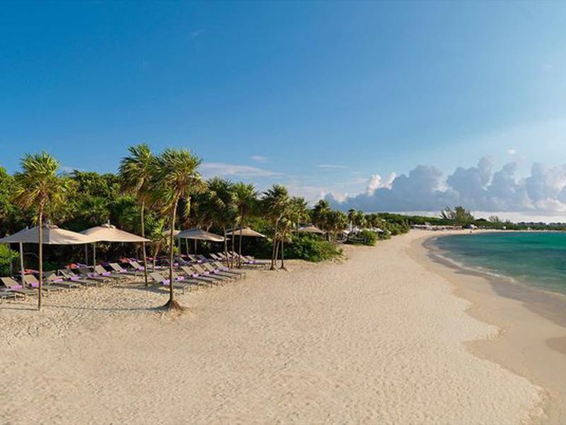 1C0DCC55BE496687EF9B309A45C24CD6