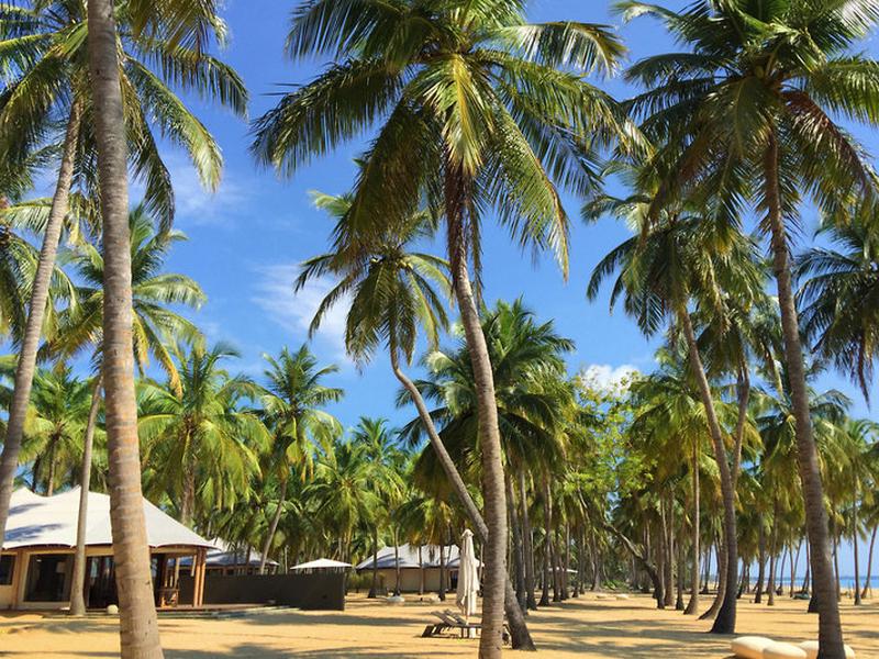 7640A65F5632F6EB8A908CF307E729E6