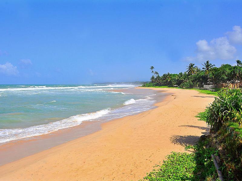 9E915ED8BB9C4AB8D1A9824FFAA9BA56