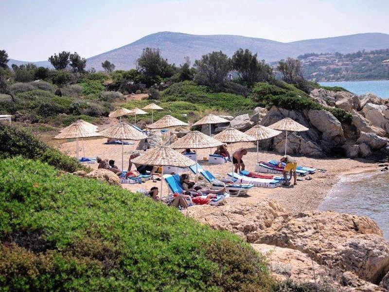 475D3AC80D74635CB9A13C299A7C262E