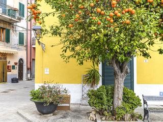 Il Marinaio / 3 pax (tr)