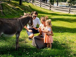 Almwelt Austria (tr)