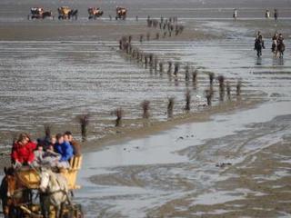 Hotel Seeschwalbe (tr)