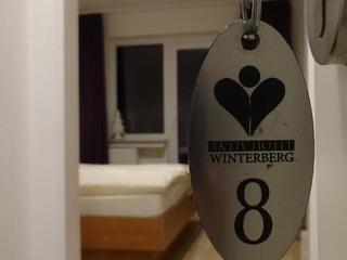 Aktiv Hotel Winterberg (tr)
