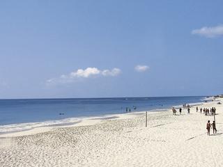 Starfish Cayo Largo (tr)