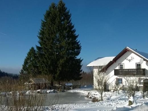 Wohnung in Haidmühle mit Terrasse und Garten / 4 pax