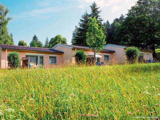 Edelweiß / 4 pax