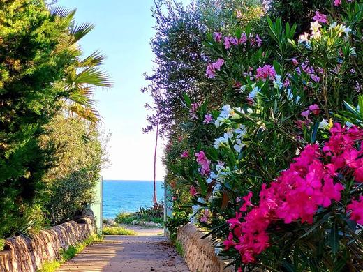 Kleines ruhiges Ferienhaus direkt am Meer / 3 pax