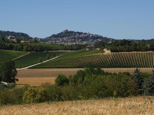 Agriturismo al Colle