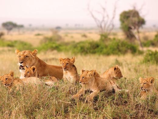 Große Afrika Rundreise
